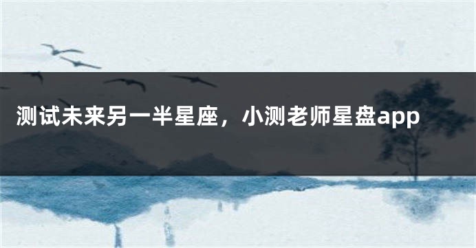 测试未来另一半星座，小测老师星盘app