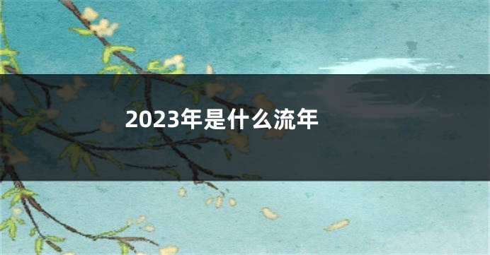 2023年是什么流年