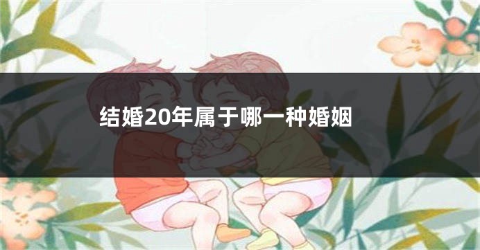 结婚20年属于哪一种婚姻