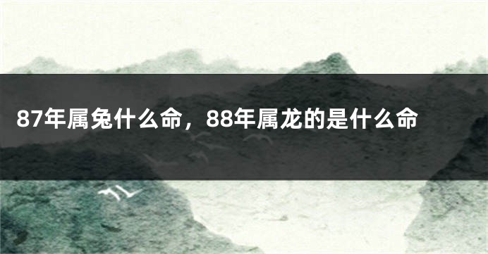 87年属兔什么命，88年属龙的是什么命