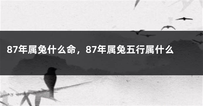 87年属兔什么命，87年属兔五行属什么