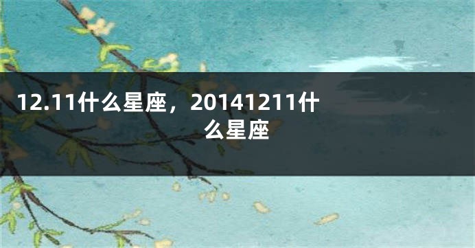 12.11什么星座，20141211什么星座