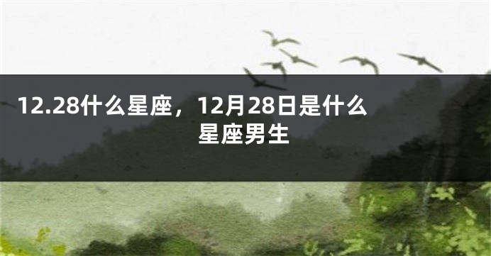 12.28什么星座，12月28日是什么星座男生