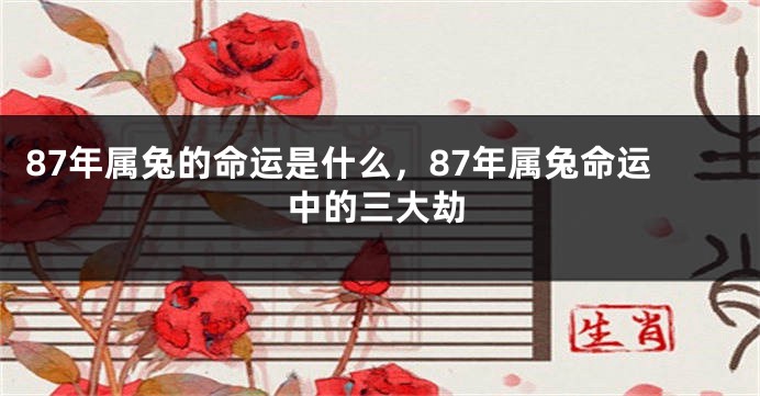 87年属兔的命运是什么，87年属兔命运中的三大劫