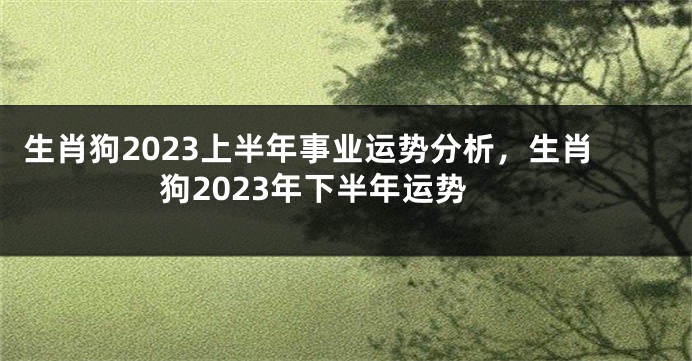 生肖狗2023上半年事业运势分析，生肖狗2023年下半年运势