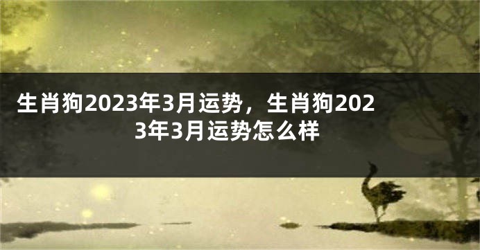 生肖狗2023年3月运势，生肖狗2023年3月运势怎么样