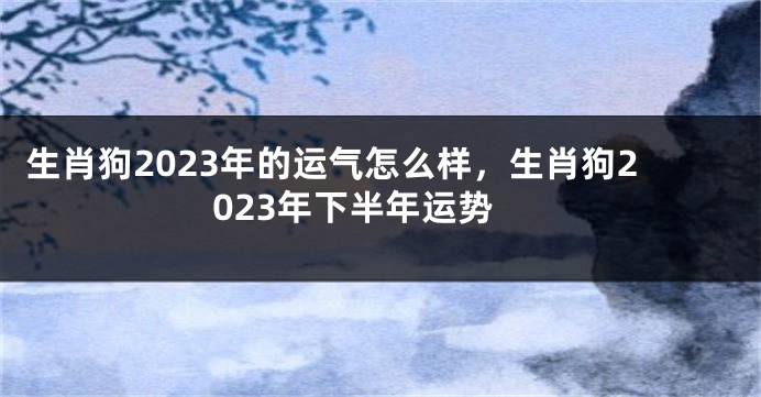 生肖狗2023年的运气怎么样，生肖狗2023年下半年运势