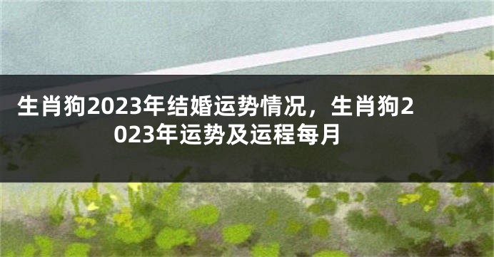 生肖狗2023年结婚运势情况，生肖狗2023年运势及运程每月