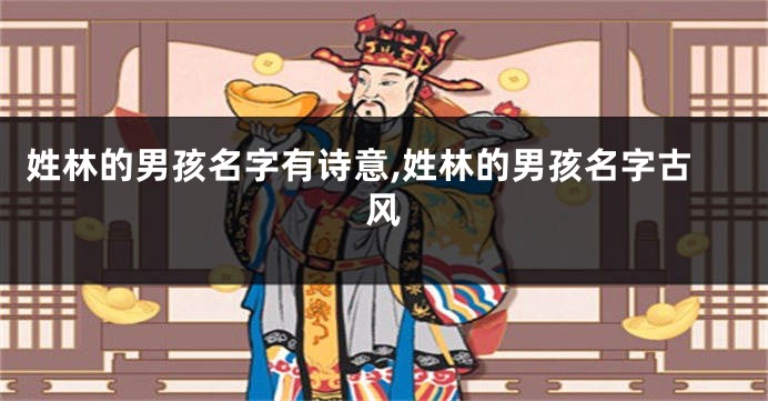 姓林的男孩名字有诗意,姓林的男孩名字古风