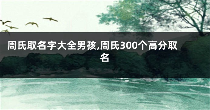 周氏取名字大全男孩,周氏300个高分取名