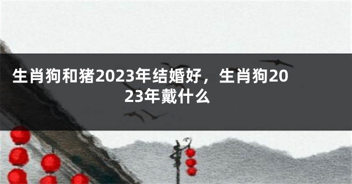 生肖狗和猪2023年结婚好，生肖狗2023年戴什么