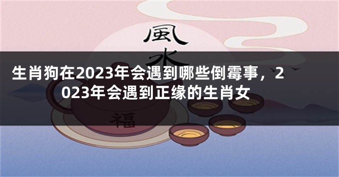 生肖狗在2023年会遇到哪些倒霉事，2023年会遇到正缘的生肖女