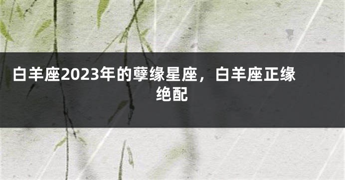 白羊座2023年的孽缘星座，白羊座正缘绝配