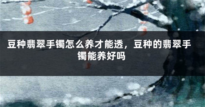 豆种翡翠手镯怎么养才能透，豆种的翡翠手镯能养好吗