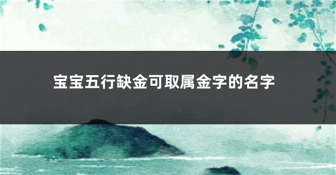 宝宝五行缺金可取属金字的名字