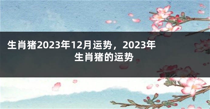 生肖猪2023年12月运势，2023年生肖猪的运势