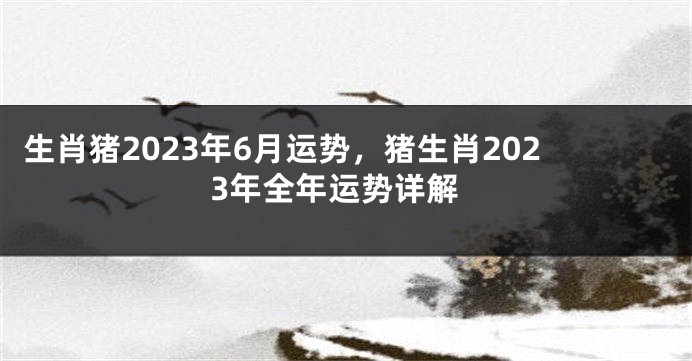 生肖猪2023年6月运势，猪生肖2023年全年运势详解