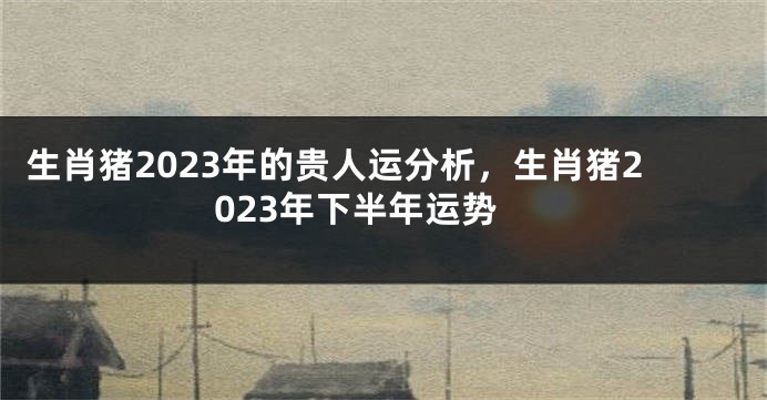 生肖猪2023年的贵人运分析，生肖猪2023年下半年运势