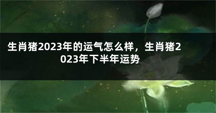 生肖猪2023年的运气怎么样，生肖猪2023年下半年运势