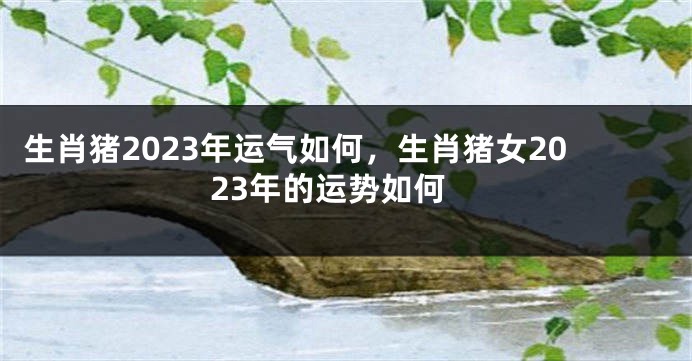 生肖猪2023年运气如何，生肖猪女2023年的运势如何