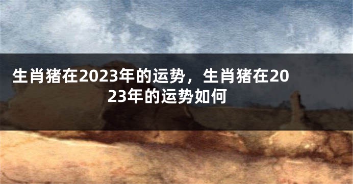 生肖猪在2023年的运势，生肖猪在2023年的运势如何