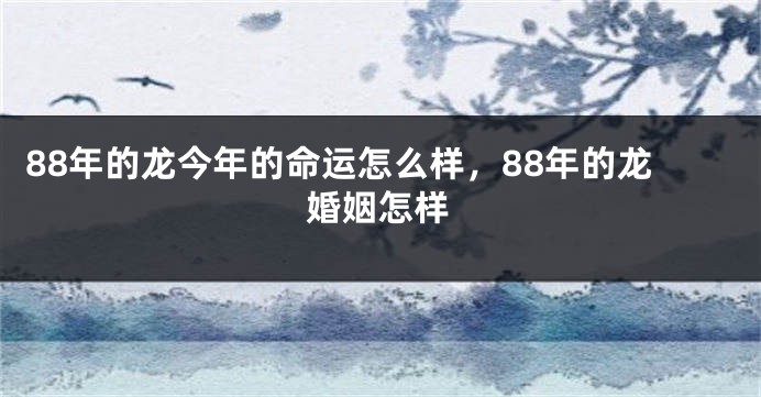 88年的龙今年的命运怎么样，88年的龙婚姻怎样