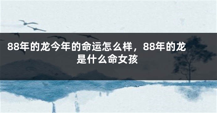 88年的龙今年的命运怎么样，88年的龙是什么命女孩