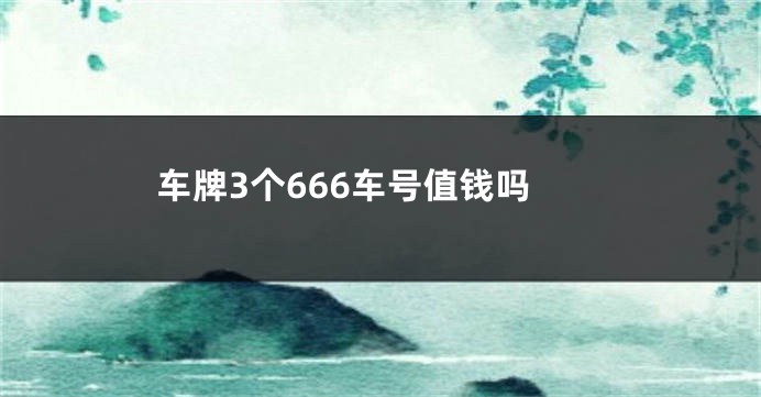 车牌3个666车号值钱吗