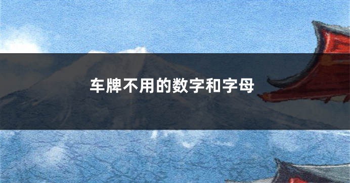 车牌不用的数字和字母