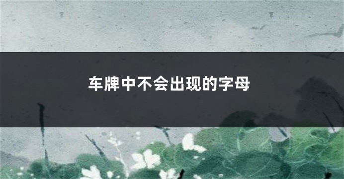 车牌中不会出现的字母