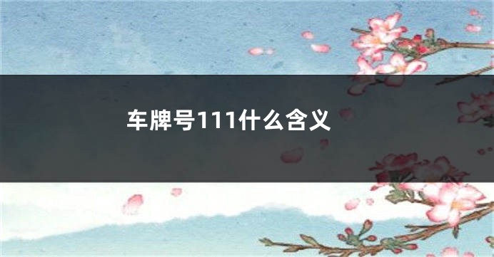 车牌号111什么含义