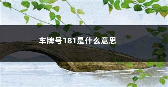 车牌号181是什么意思