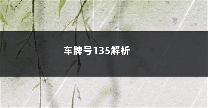 车牌号135解析