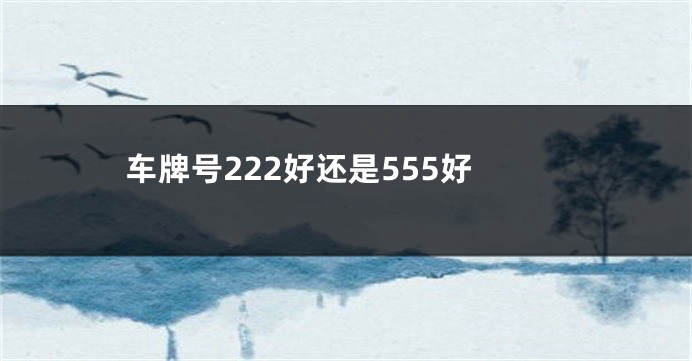 车牌号222好还是555好