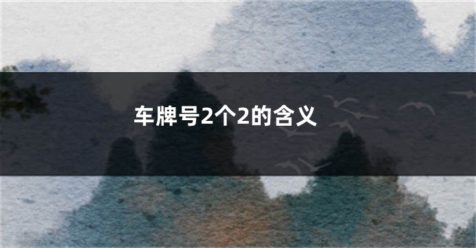 车牌号2个2的含义