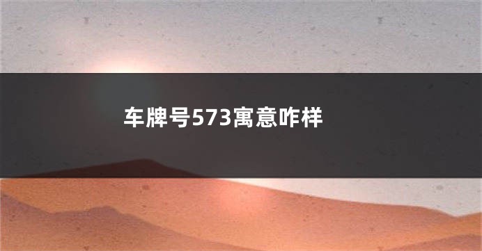 车牌号573寓意咋样