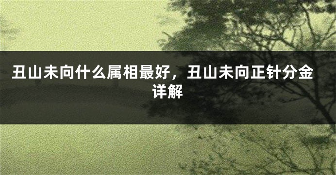 丑山未向什么属相最好，丑山未向正针分金详解