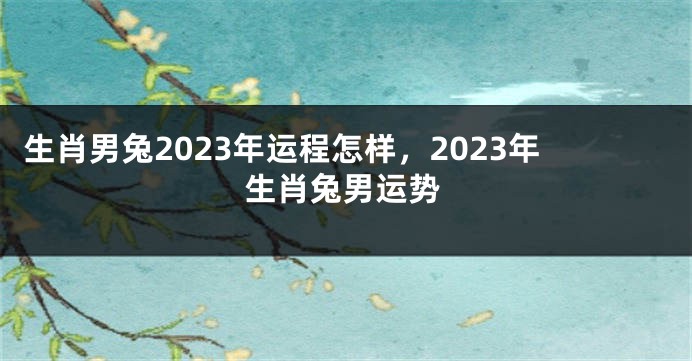 生肖男兔2023年运程怎样，2023年生肖兔男运势