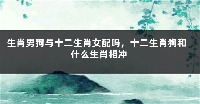 生肖男狗与十二生肖女配吗，十二生肖狗和什么生肖相冲