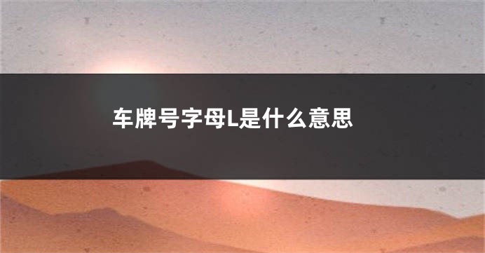 车牌号字母L是什么意思