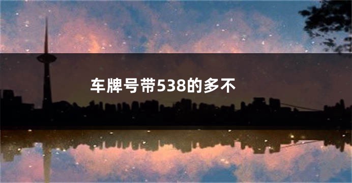 车牌号带538的多不