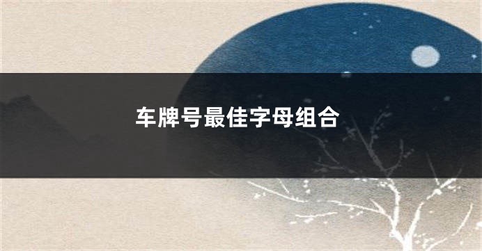 车牌号最佳字母组合