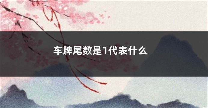 车牌尾数是1代表什么