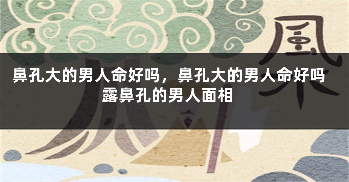 鼻孔大的男人命好吗，鼻孔大的男人命好吗 露鼻孔的男人面相