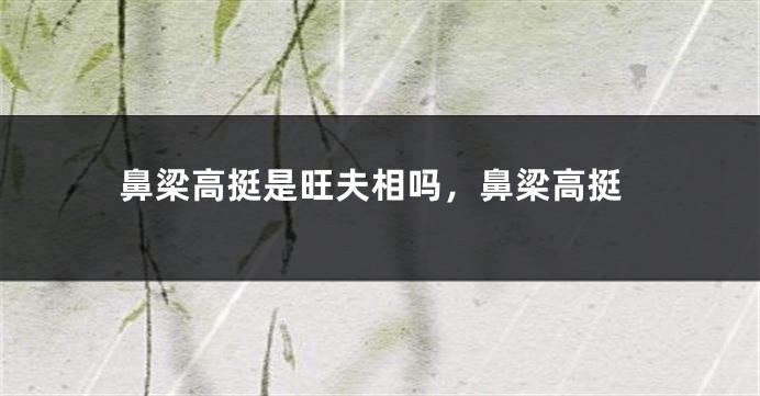 鼻梁高挺是旺夫相吗，鼻梁高挺