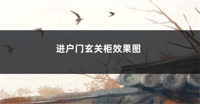 进户门玄关柜效果图