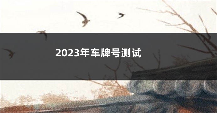 2023年车牌号测试