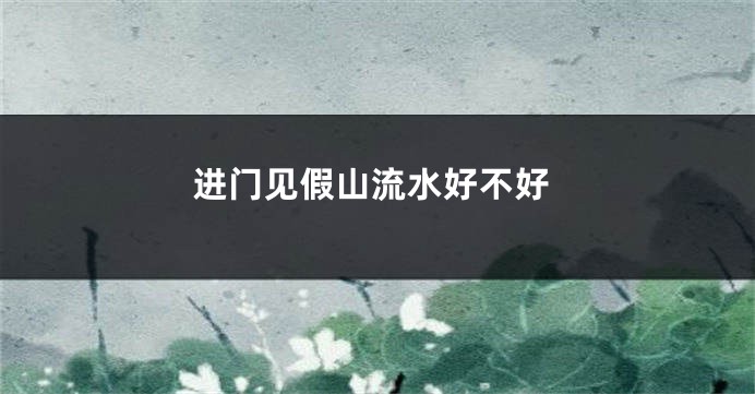 进门见假山流水好不好