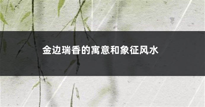 金边瑞香的寓意和象征风水