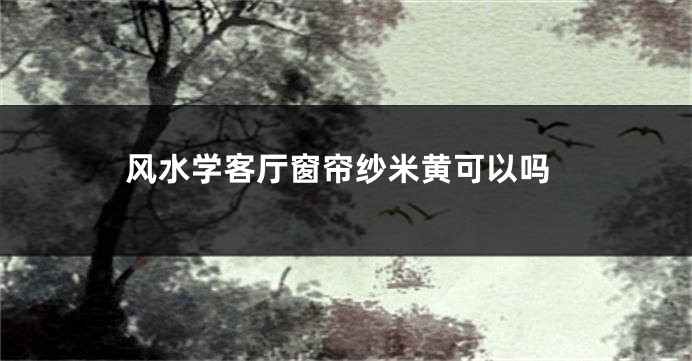 风水学客厅窗帘纱米黄可以吗